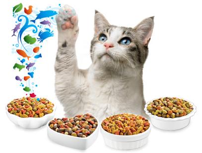 Статья Витамины для кошек